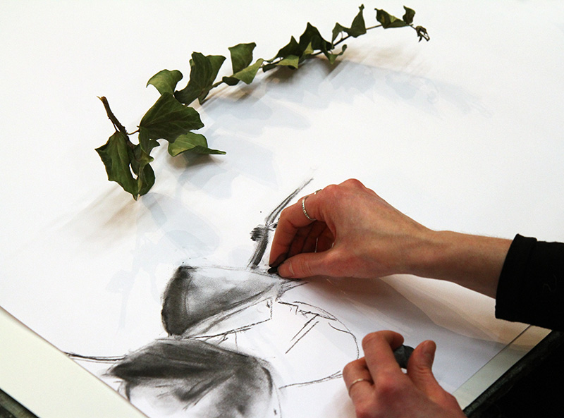 Dessin